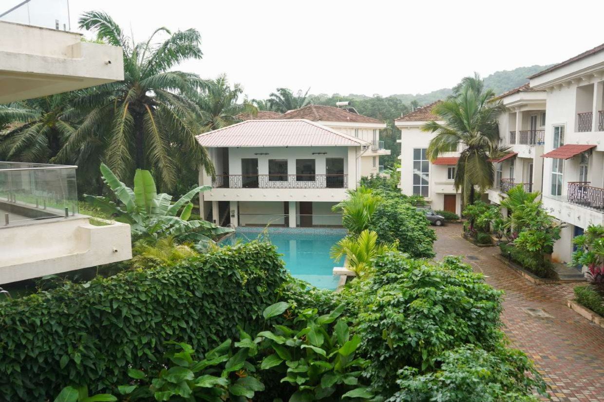 Casa Ivy